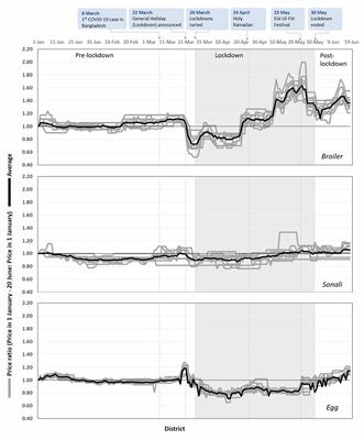 COVID-19 Impact on Poultry Production and Distribution Networks in Bangladesh